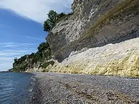 Vue des Stevns Klint.