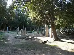 Image illustrative de l’article Alignement de Rinaghju