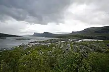 Un fleuve traversant un paysage alternant falaises et pentes douces, avec des buissons au premier plan.