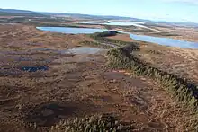 Tourbière d'aapa dans le parc national de Muddus, à l'est.