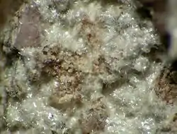 Image illustrative de l’article Sussexite