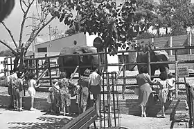 Image illustrative de l’article Zoo de Tel Aviv