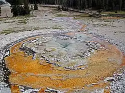 Tardy Geyser en juillet 2017.