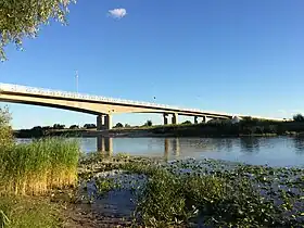 Image illustrative de l’article Idaringtee