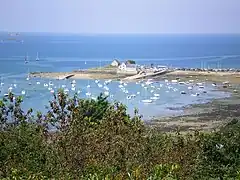 Le port de plaisance de Térénez