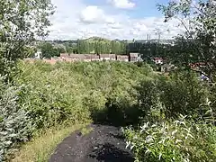 Vue vers le terril Saint-Théodore Est.