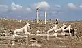 La Terrasse des Lions sur l'île de Délos
