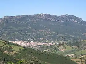 Tertenia