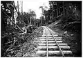 Les voies de la ligne de chemin de fer s'enfonçant dans les forêts fuégiennes.