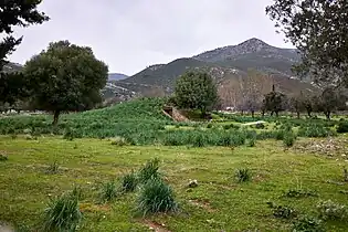 Tumulus des Platéens