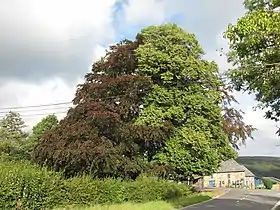 Image illustrative de l’article Côte de Desnié