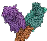 Image illustrative de l’article Evusheld