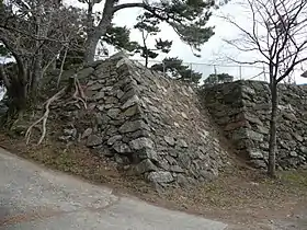 Image illustrative de l’article Château de Toba