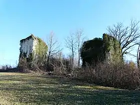 Image illustrative de l’article Château de Vernode