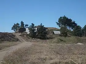 Tumulus à Agios Athanasios.