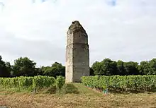 Vue d'une pile en maçonnerie dans un environnement de vignes.