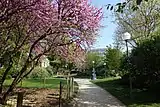 Une allée du jardin Villemin.