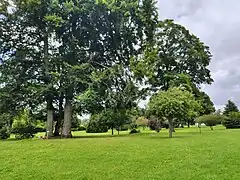 Le parc du château.