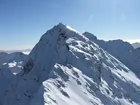 Vue depuis le Monte Costone.
