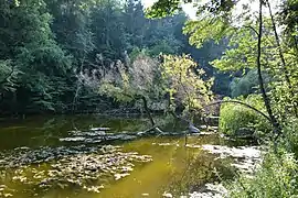 Nekroutnoe réserve naturelle.