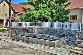 Le lavoir-abreuvoir.