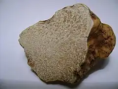 Truffe blanche coupée.