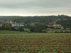 Vue panoramique de Tucquegnieux village.