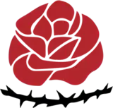 Image illustrative de l’article Tudeh