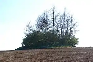Tumulus de Vaux