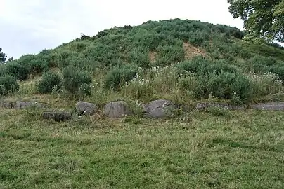 Tumulus de Dowth