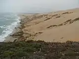 Guadalupe-Nipomo Dunes, autre décor à l'antre de Davy Jones.