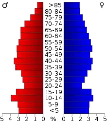 Schéma représentant la population du comté, par tranche d'âge. En rouge, à gauche, les femmes, en bleu à droite, les hommes.