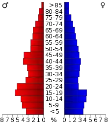 Schéma représentant la population du comté, par tranche d'âge. En rouge, à gauche, les femmes, en bleu à droite, les hommes.