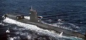 illustration de USS Grayback (SSG-574)