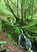 Un affluent de la Sûre à Neimillen (Bilsdorf).