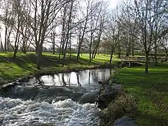 Un ruisseau tumultueux.