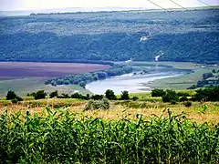 La vallée du Nistre.