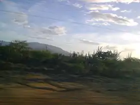 Urumaco (municipalité)