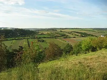 La campagne près de Tvarožná.