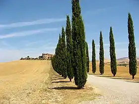 Val d'Orcia en Toscane.