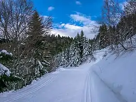 Vue aérienne de la station.