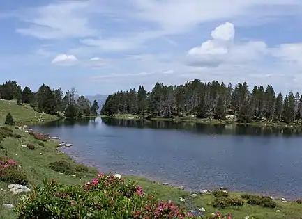 L'estany de la Nou.