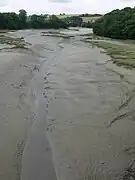 Profil transversal typique d'une vasière arrière littorale (ici sur le fleuve côtier dit la rivière de Penzé).