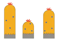 Calque de la végétation - milieu.