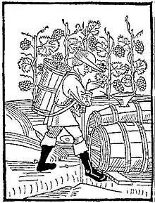 Vendange, XVe siècle