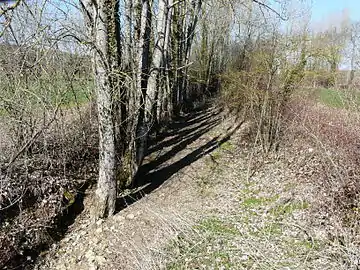Le lit du Vern à sec, dans le nord-est de la commune.