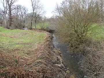 La Verneigette au pont de la RD 55. Vue prise en direction de l'amont.