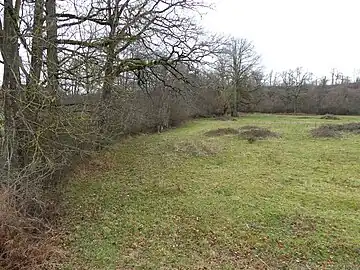 La vallée de la Verneigette au pont de la RD 55.
