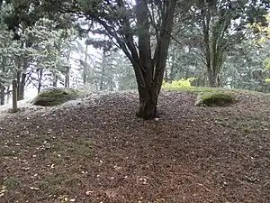 Vestiges de la batterie de Parilly, faisant partie de l'ancienne fortification de Vénissieux.