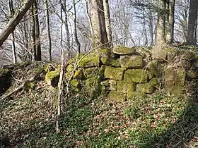 Image illustrative de l’article Château d'Étobon